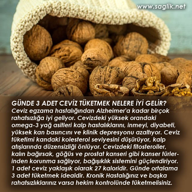 GÜNDE 3 ADET CEVİZ TÜKETMEK NELERE İYİ GELİR? Ceviz egzama hastalığından Alzheimer'a kadar birçok rahatsızlığa iyi geliyor. Cevizdeki yüksek orandaki omega-3 yağ asitleri kalp hastalıklarını, inmeyi, diyabeti, yüksek kan basıncını ve klinik depresyonu azaltıyor. Ceviz tüketimi kandaki kolesterol seviyesini düşürüyor, kalp atışlarında düzensizliği önlüyor. Cevizdeki fitosteroller, kalın bağırsak, göğüs ve prostat kanseri gibi kanser türlerinden korunma sağlıyor, bağışıklık sistemini güçlendiriyor. 1 adet ceviz yaklaşık olarak 27 kaloridir. Günde ortalama 3 adet tüketmek idealdir. Kronik Hastalığınız ve başka rahatsızlıklarınız varsa hekim kontrolünde tüketmelisiniz. 