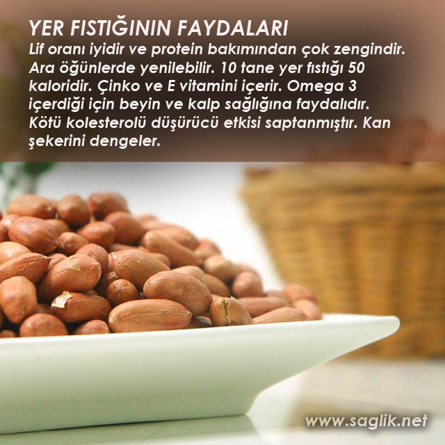 Lif oranı iyidir ve protein bakımından çok zengindir. Ara öğünlerde yenilebilir. 10 tane yer fıstığı 50 kaloridir. Çinko ve E vitamini içerir. Omega 3 içerdiği için beyin ve kalp sağlığına faydalıdır. Kötü kolesterolü düşürücü etkisi saptanmıştır. Kan şekerini dengeler.