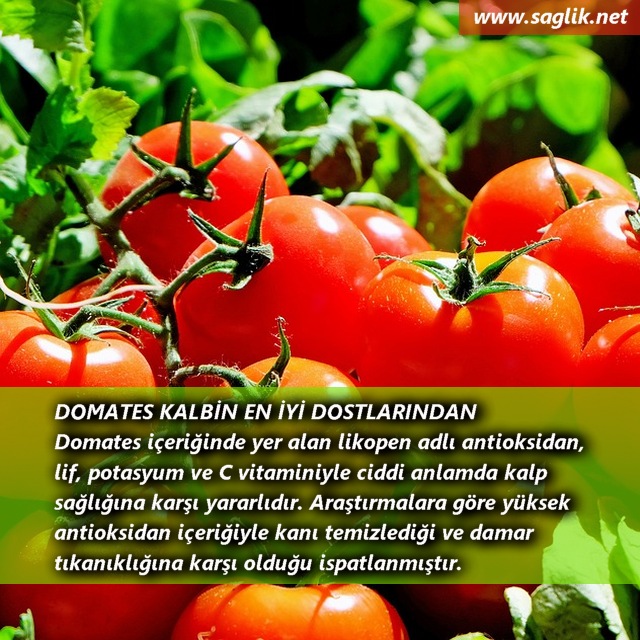 DOMATES KALBİN EN İYİ DOSTLARINDAN Domates içeriğinde yer alan likopen adlı antioksidan, lif, potasyum ve C vitaminiyle ciddi anlamda kalp sağlığına karşı yararlıdır. Araştırmalara göre yüksek antioksidan içeriğiyle kanı temizlediği ve damar tıkanıklığına karşı olduğu ispatlanmıştır.