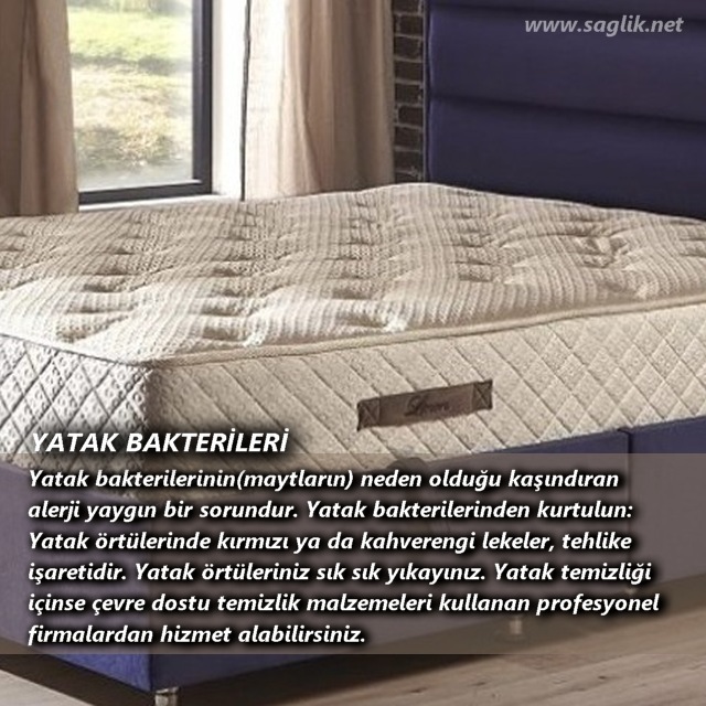 Yatak bakterilerinin(maytların) neden olduğu kaşındıran alerji yaygın bir sorundur. Yatak bakterilerinden kurtulun: Yatak örtülerinde kırmızı ya da kahverengi lekeler, tehlike işaretidir. Yatak örtüleriniz sık sık yıkayınız. Yatak temizliği içinse çevre dostu temizlik malzemeleri kullanan profesyonel firmalardan hizmet alabilirsiniz.