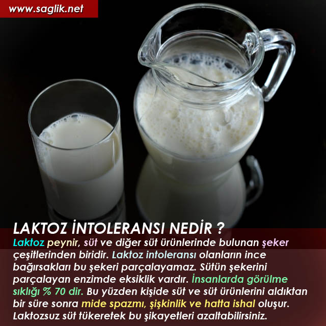 LAKTOZ İNTOLERANSI NEDİR ? Laktoz peynir, süt ve diğer süt ürünlerinde bulunan şeker çeşitlerinden biridir. Laktoz intoleransı olanların ince bağırsakları bu şekeri parçalayamaz. Sütün şekerini parçalayan enzimde eksiklik vardır. İnsanlarda görülme sıklığı % 70 dir. Bu yüzden kişide süt ve süt ürünlerini aldıktan bir süre sonra mide spazmı, şişkinlik ve hatta ishal oluşur. Laktozsuz süt tükeretek bu şikayetleri azaltabilirsiniz.