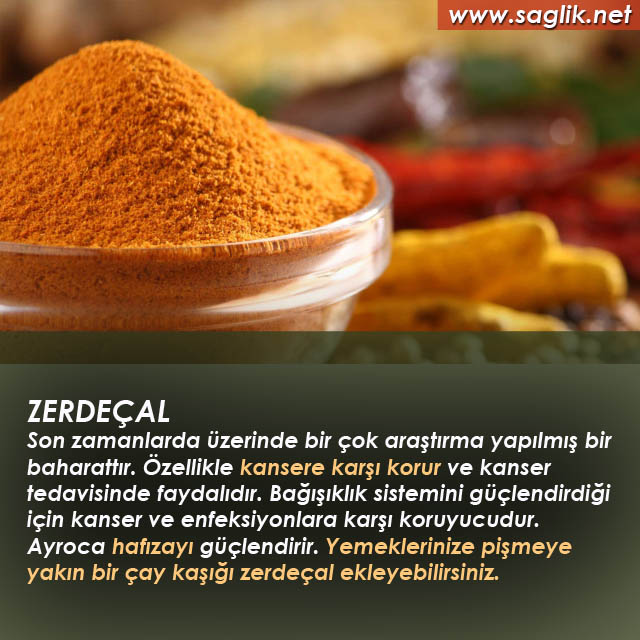 ZERDEÇAL Son zamanlarda üzerinde bir çok araştırma yapışmış bir baharattır. Özellikle kansere karşı korur ve kanser tedavisinde faydalıdır. Bağışıklık sistemini güçlendirdiği için kanser ve enfeksiyonlara karşı koruyucudur. Ayroca hafızayı güçlendirir. Yemeklerinize pişmeye yakın bir çay kaşığı zerdeçal ekleyebilirsiniz.