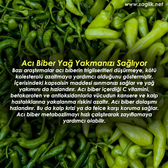 Acı Biber Yağ Yakmanızı sağlıyor Bazı araştırmalar acı biberin trigliseritleri düşürmeye, kötü kolesterolü azaltmaya yardımcı olduğunu göstermiştir. İçerisindeki kapsaisin maddesi ısınmanızı sağlar ve yağ yakımını da hızlandırır. Acı biber içerdiği C vitamini, betakaroten ve antioksidanlarla vücudun kansere ve kalp hastalıklarına yakalanma riskini azaltır. Acı biber dolaşımı hızlandırır. Bu da kalp krizi ya da felce karşı koruma sağlar.  Acı biber metabozlimayı hızlı çalıştırarak zayıflamaya yardımcı olabilir. 