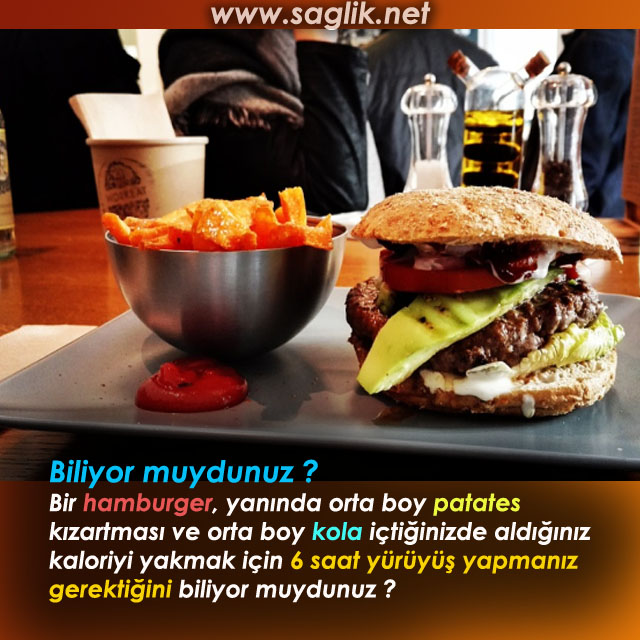 hamburger2