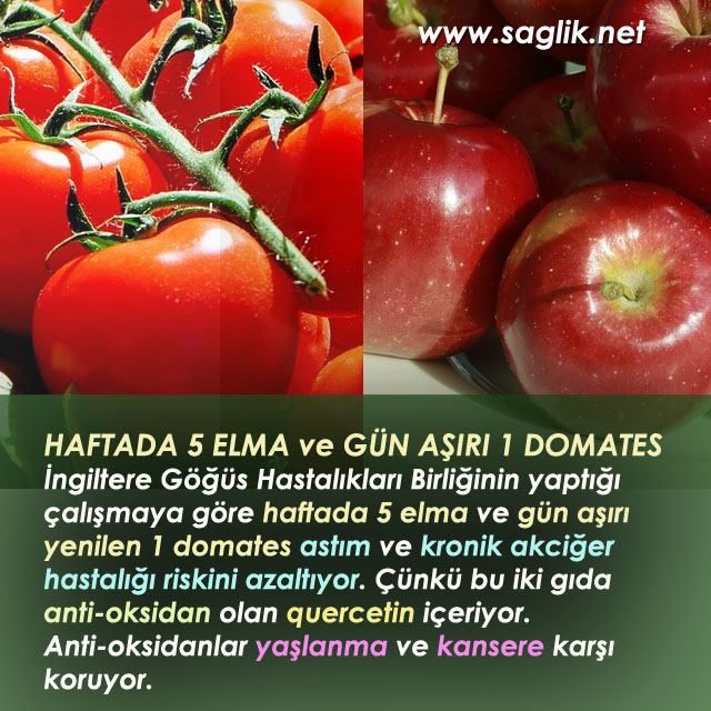 HAFTADA 5 ELMA ve GÜN AŞIRI 1 DOMATES İngiltere Göğüs Hastalıkları Birliğinin yaptığı çalışmaya göre haftada 5 elma ve gün aşırı yenilen domates astım ve kronik akciğer hastalığı riskini azaltıyor. Çünkü bu iki gıda anti-oksidan olan quercetin içeriyor. Anti-oksidanlar yaşlanma ve kansere karşı koruyor.