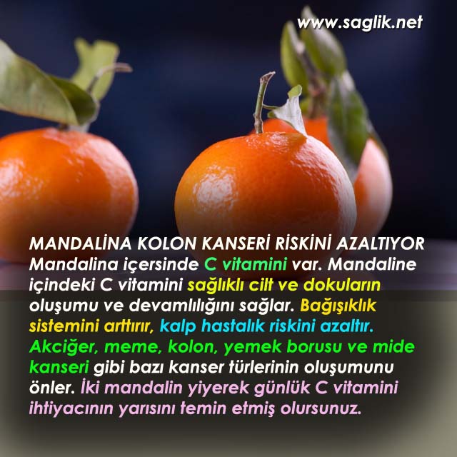 MANDALİNA KOLON KANSERİ RİSKİNİ AZALTIYOR Mandalina içersinde C vitamini var. Mandaline içindeki C vitamini sağlıklı cilt ve dokuların oluşumu ve devamlılığını sağlar. Bağışıklık sistemini arttırır, kalp hastalık riskini azaltır. Akciğer, meme, kolon, yemek borusu ve mide kanseri gibi bazı kanser türlerinin oluşumunu önler. İki mandalin yiyerek günlük C vitamini ihtiyacının yarısını temin etmiş olursunuz.